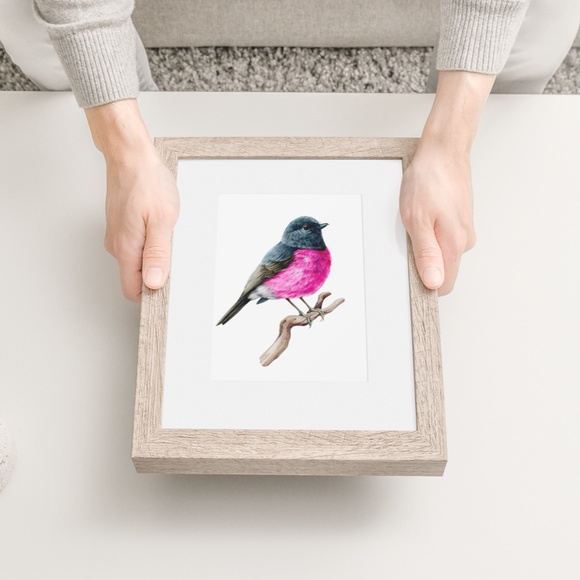 Pink Robin Bird Wall Art Watercolor Illustration Print Poster Card Unframed - Picture 4 of 7